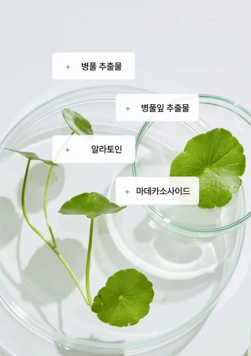[수분/진정] 셀리맥스 더 리얼 시카 카밍 앰플 마스크 1매입 상세페이지 13
